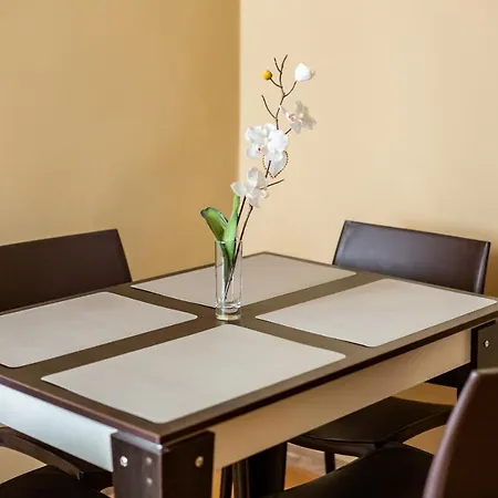 On Yana Zhizhky アパート リヴィウ